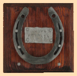 Подкова Жизнь удалась (ключница)